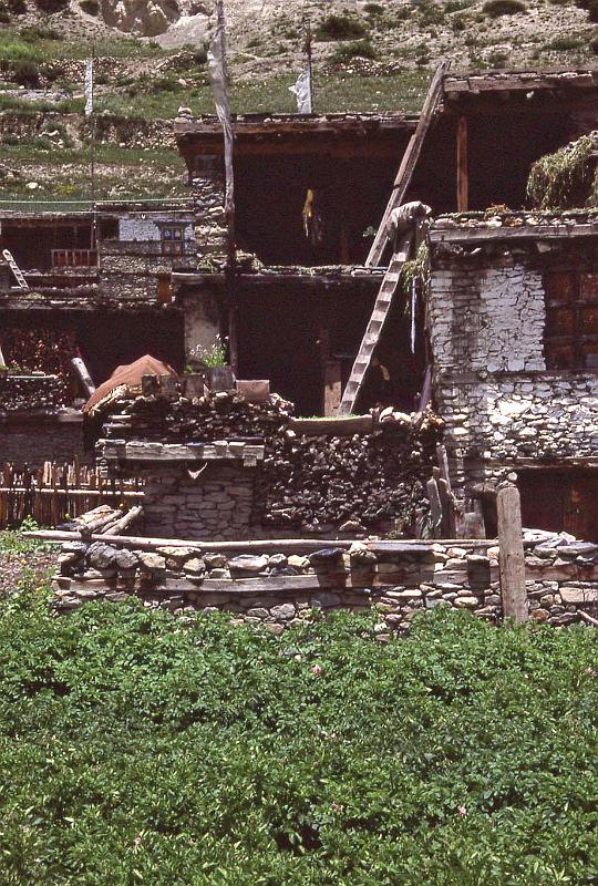 WT 1000 168-04 Nepal.jpg